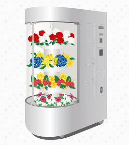 Ремонт автоматов для цветов